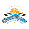 Carahue SAESA