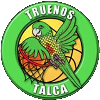 Villa Alemana Basquet