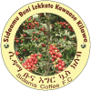 Ethiopian Insurance