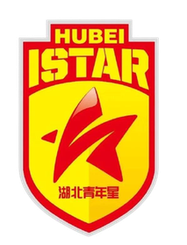 Wenzhou Professional Football Club